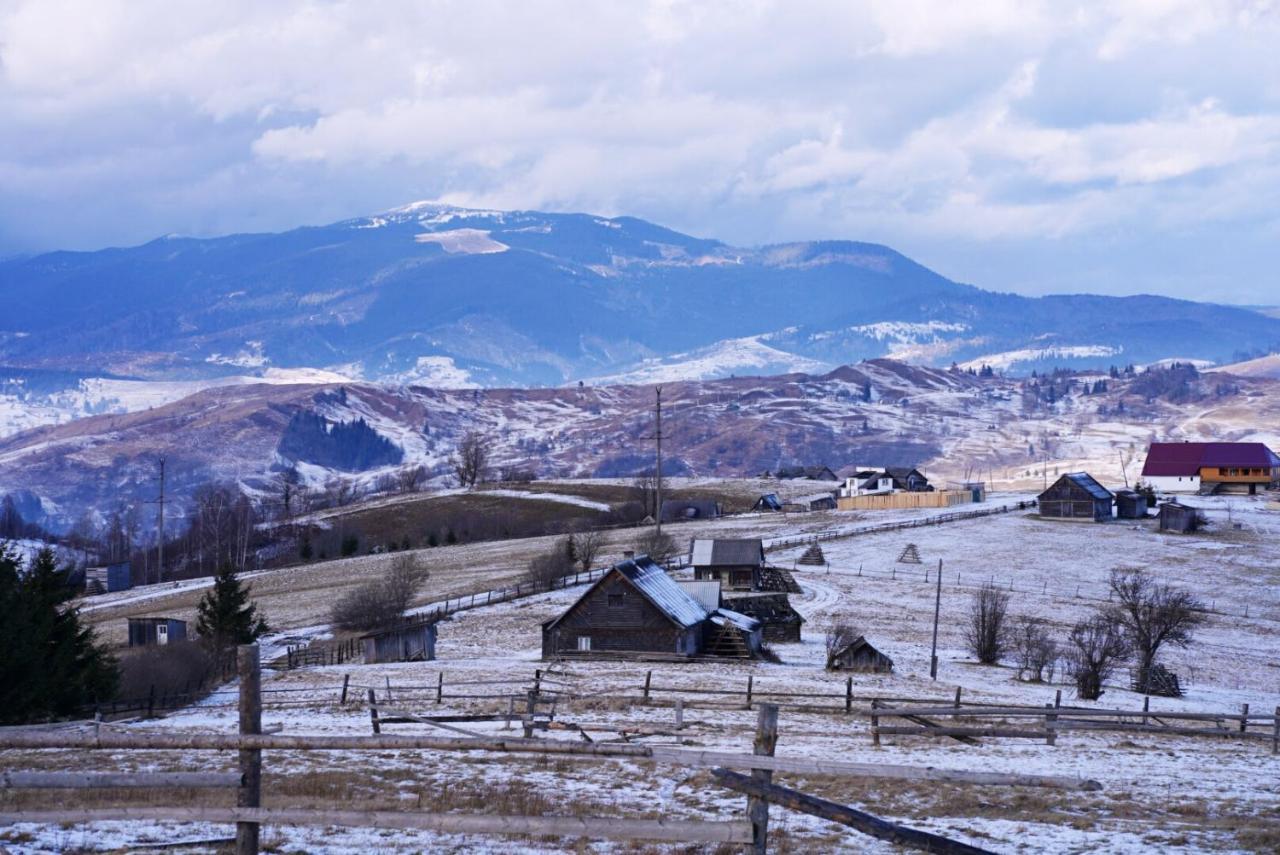 Мирослава Lazeshchyna Exteriör bild